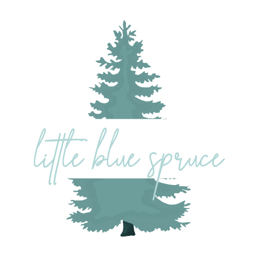 little blue spruce